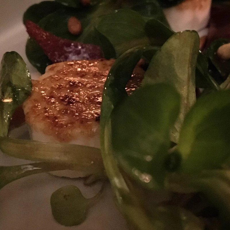 Gusto Natural Modern Grill