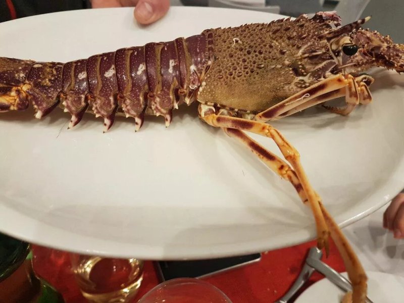 Capada
