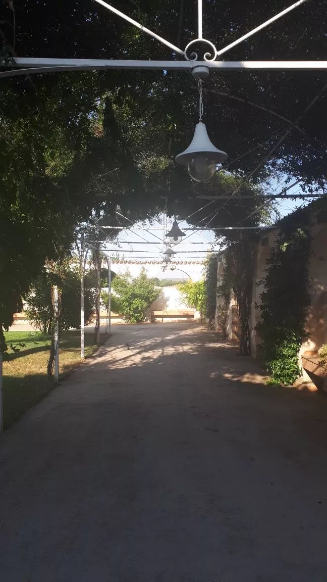 Masseria Colle Carro