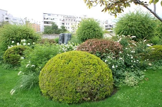 White Garden