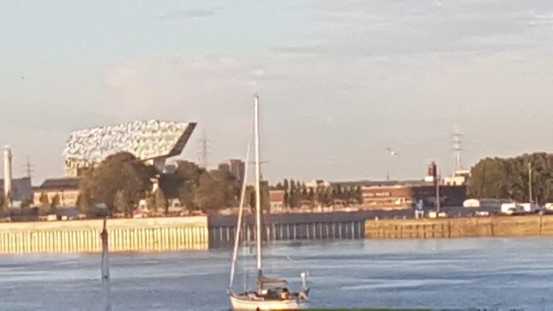 Royal Yacht Club