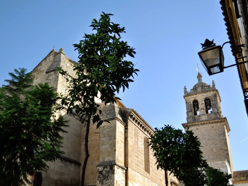 Apartamentos Patio de Viana