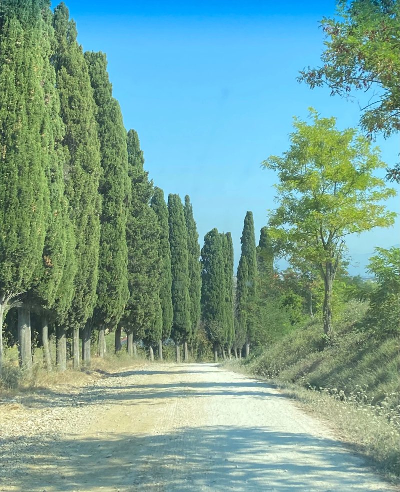Agriturismo Ca Lo Spelli