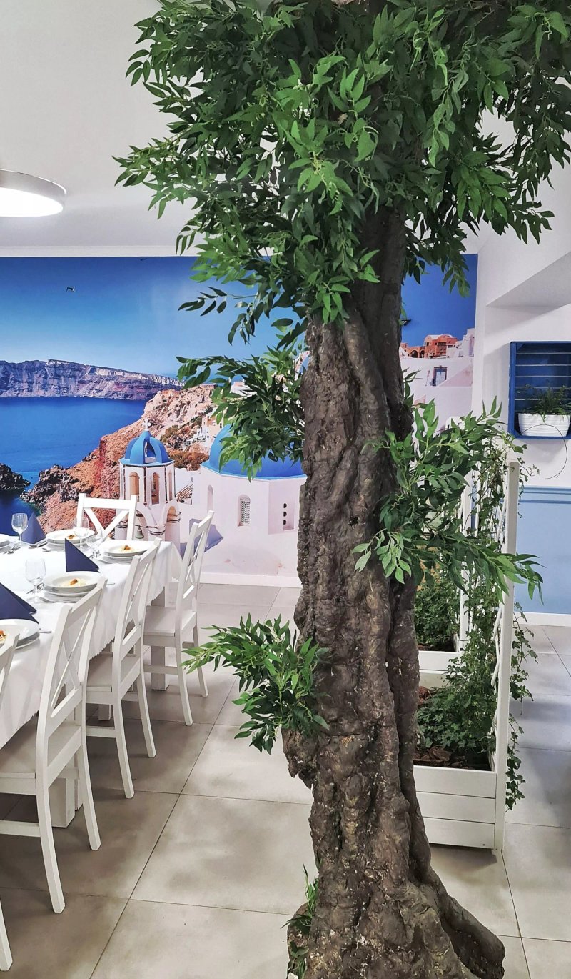 Restauracja Grecka Kalimera