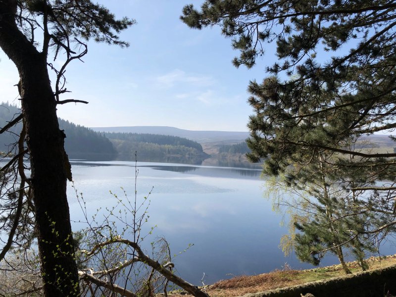 Lazy Daisy's Luxury Holiday Cottages