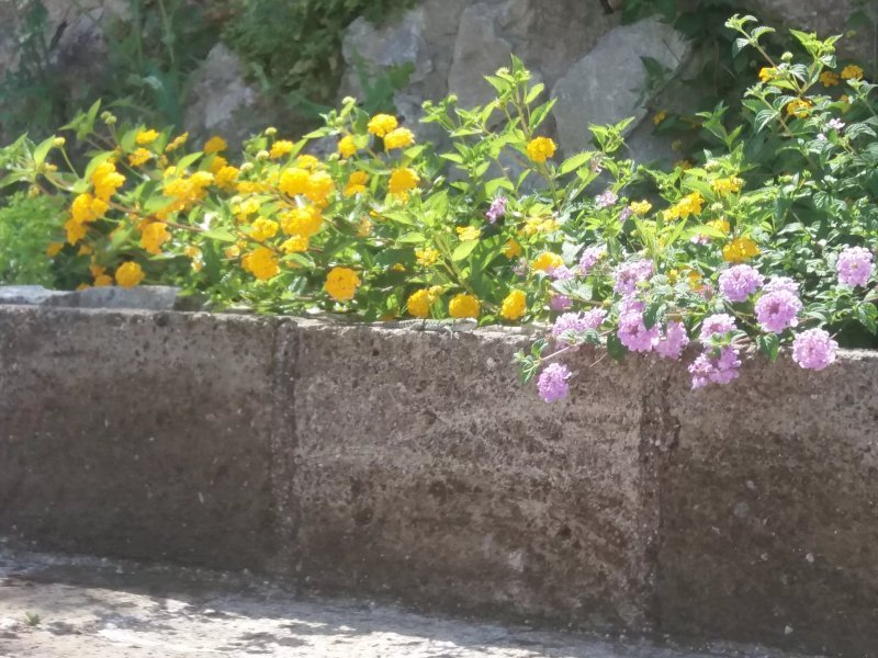 Le Rocce