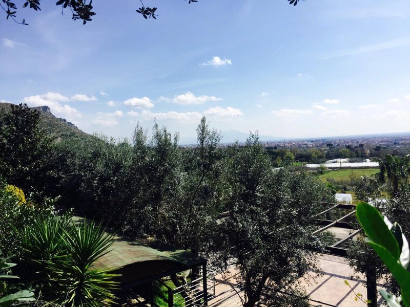 Oasi Park