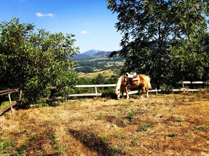 Agriturismo Il Tratturo