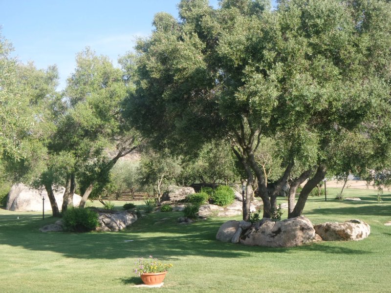 Agriturismo B&B Majore