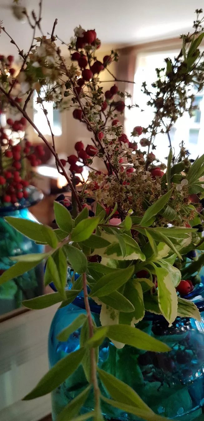 The Vine and Spice