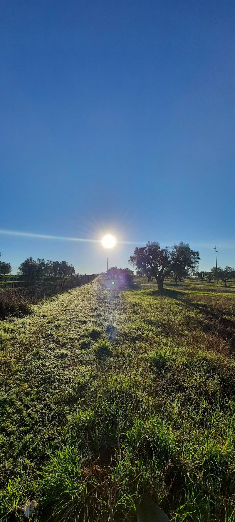 Agriturismo Casale San Benedetto