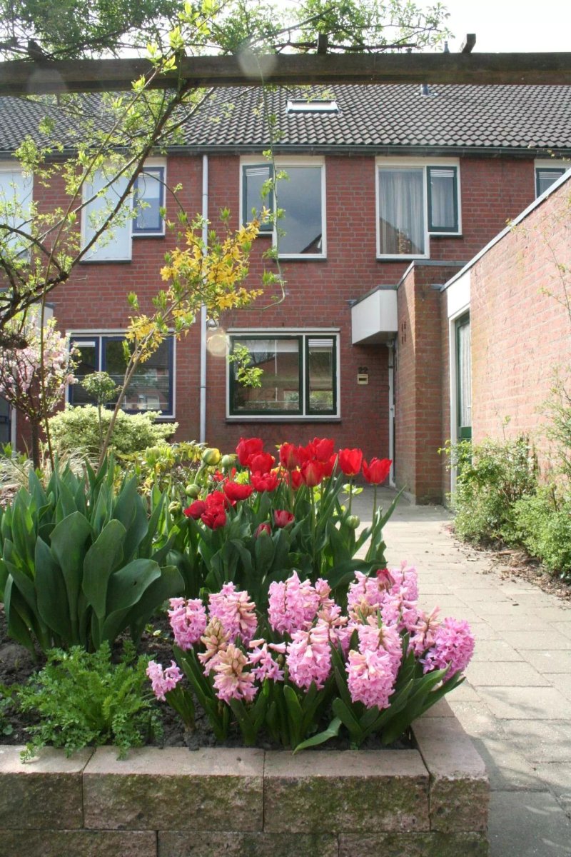 Home Stay Utrecht (Women Only)