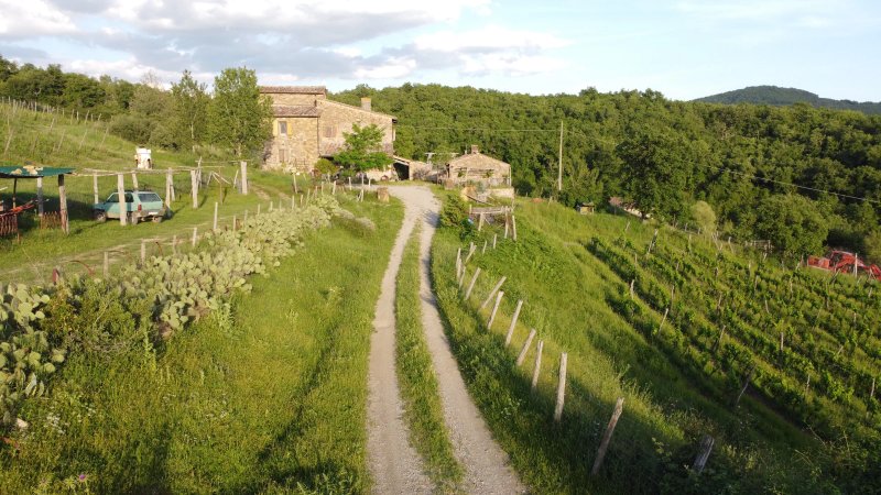 Agriturismo Podere Tegline