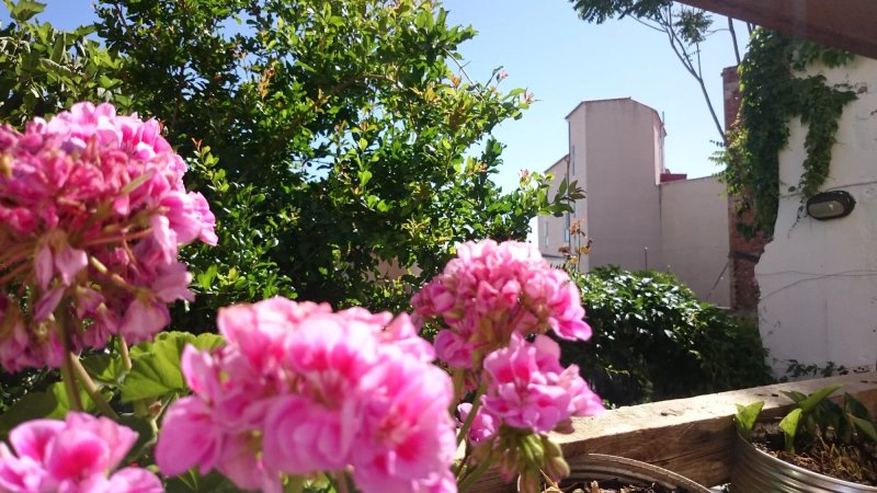 Albergue las Veletas