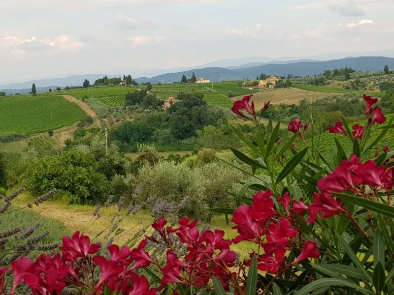 Antica Fattoria Giannozzi
