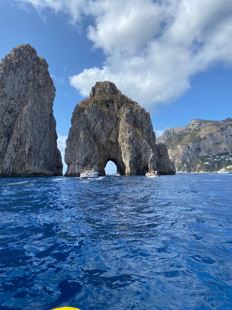 Capri Whales di Wendy