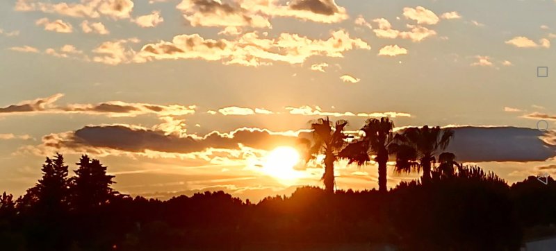 Camping Bellevue en Camargue
