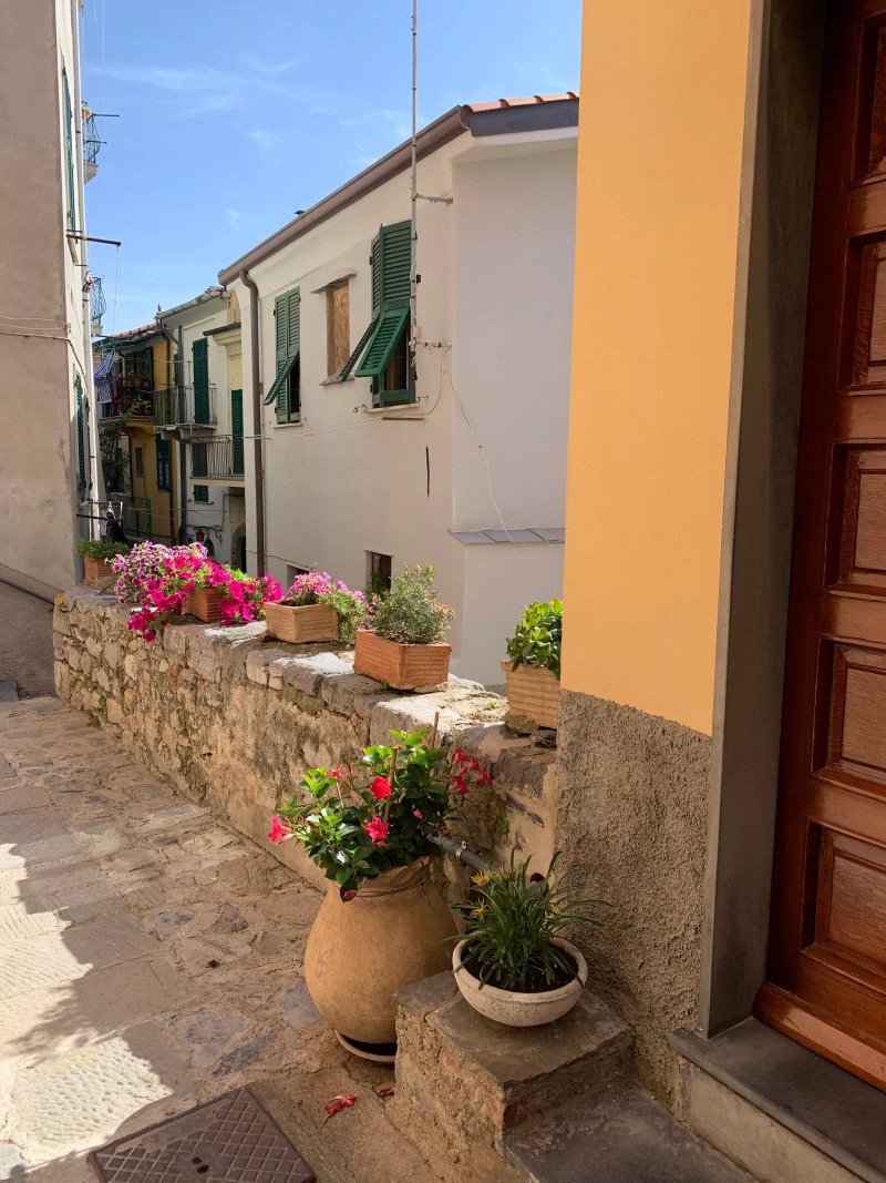 Colonna 24