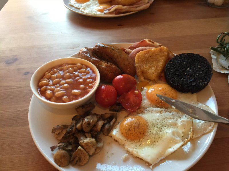 The Little Owl Cafe