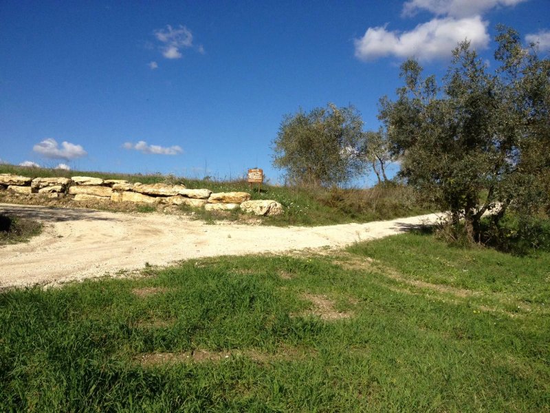 Agriturismo Tenuta Copio
