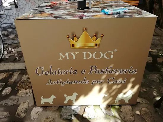 My Dog