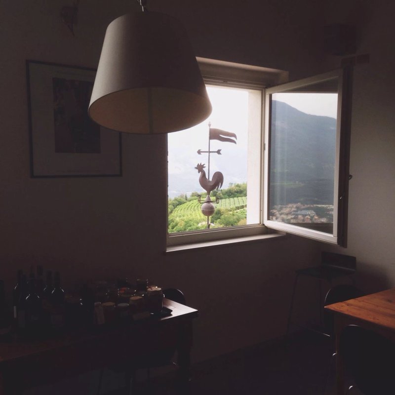 Agriturismo Il Gallo