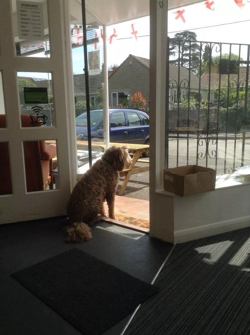 Wookey Hub Cafe & Village Shop