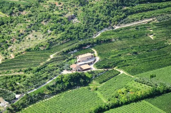 Azienda Agricola Boscaini Carlo