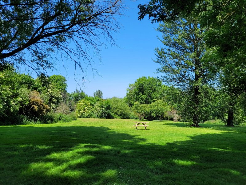 Ross Park Caravan Park
