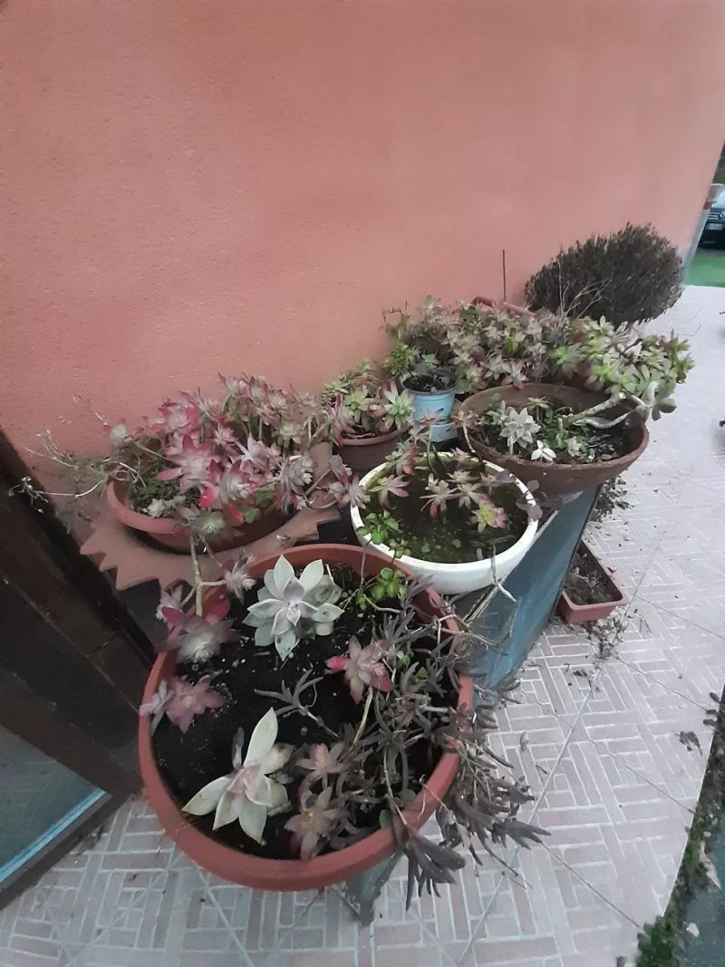 Agriturismo Cascina San Carlo