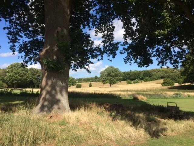 The Retreat at Witherdens Hall