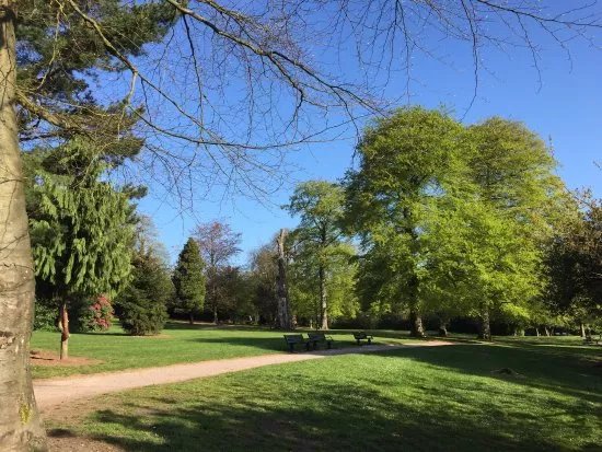 Warley Woods