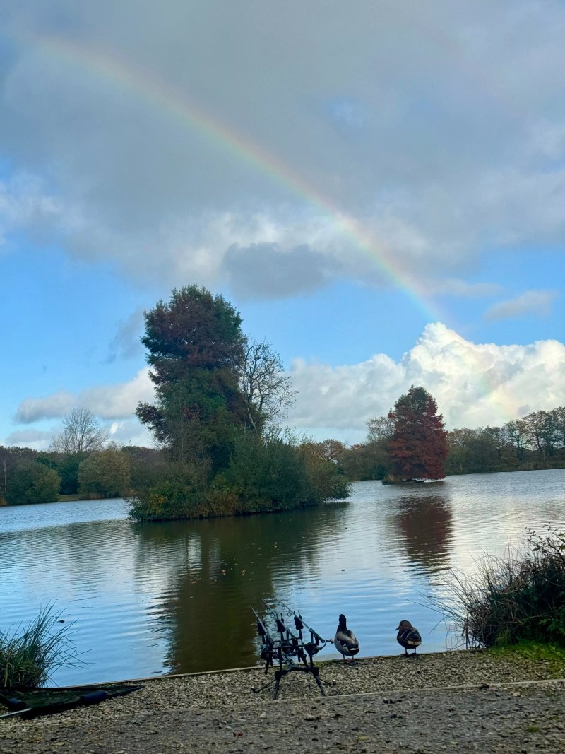 Stafford Moor Fishery