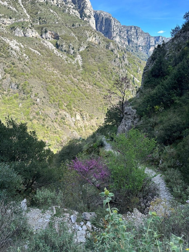 Taxi Zagori '' Ladias Panagiotis ''