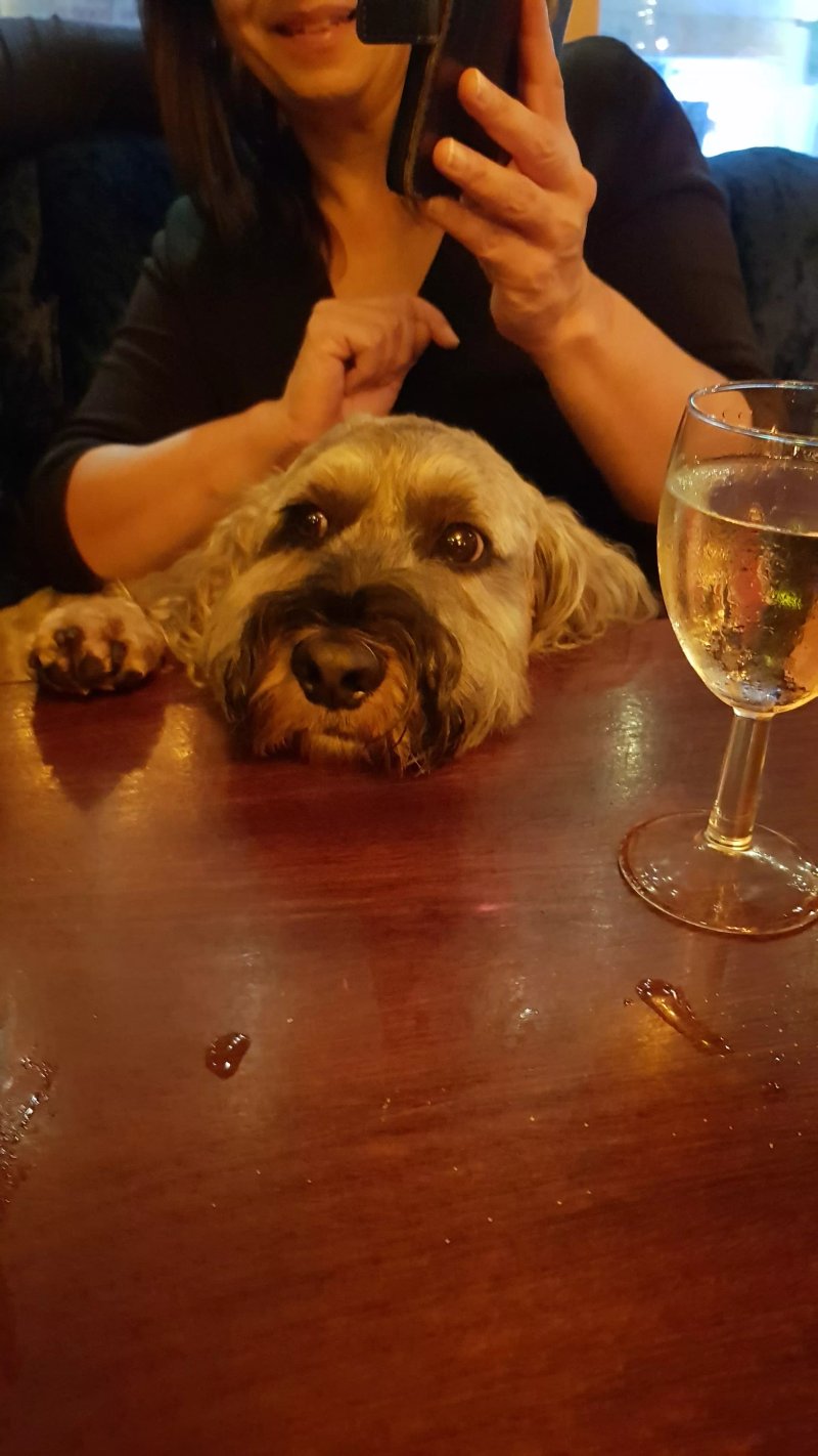 The Hyde Park Pub