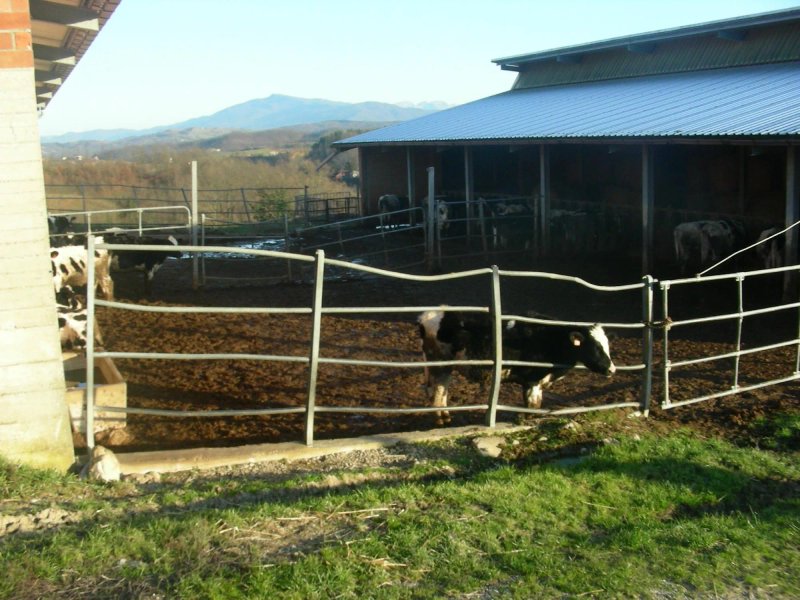 Agriturismo Carovane