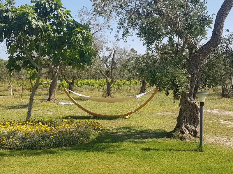 Masseria Vignenove
