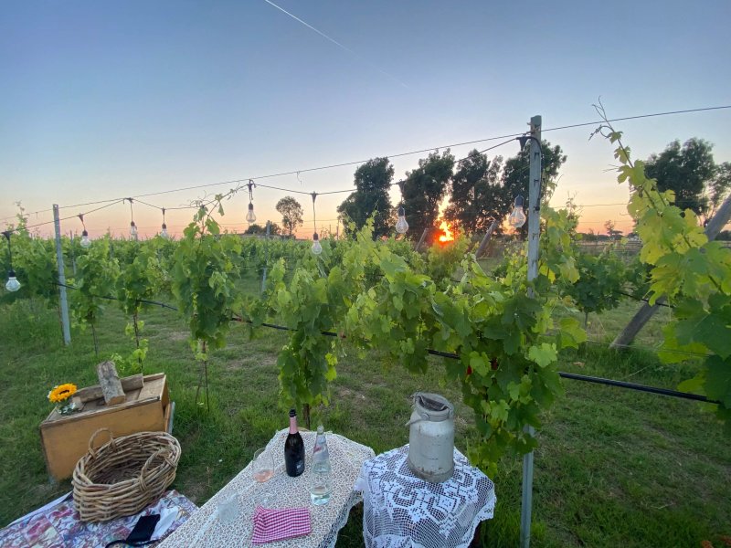 Agriturismo Nuova Fattoria