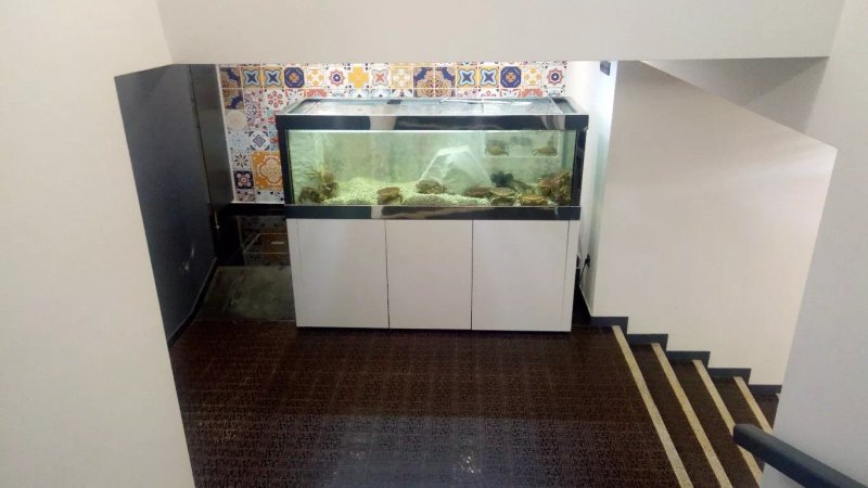 ARCUM Marisqueira