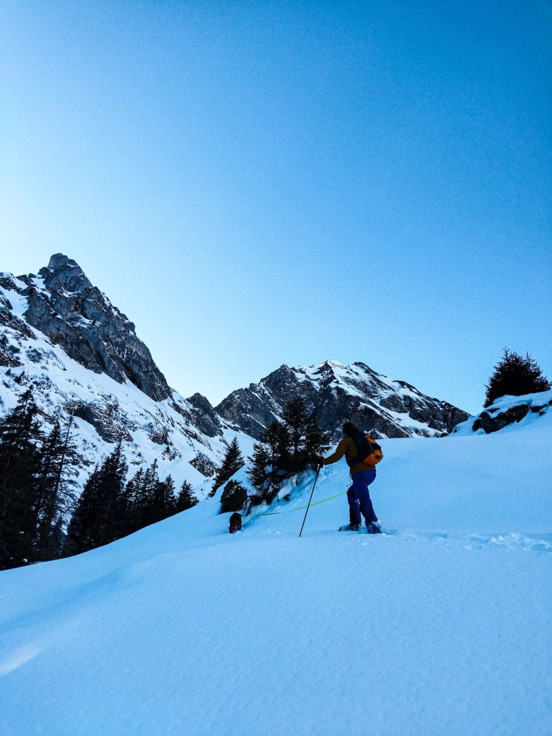 Berggasthaus Gitschenen