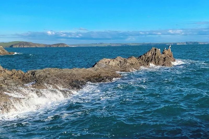 Perfect south facing cottage overlooking Mevagissey Harbour and across the bay.