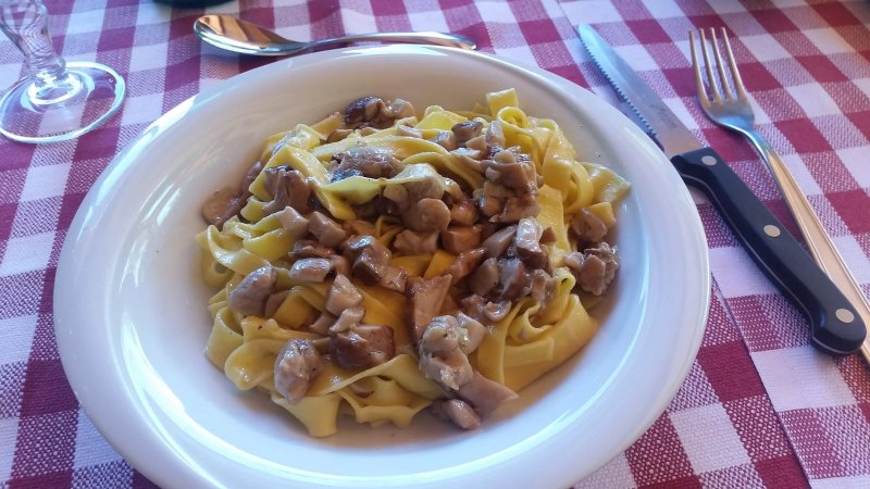 Agriturismo La Fine
