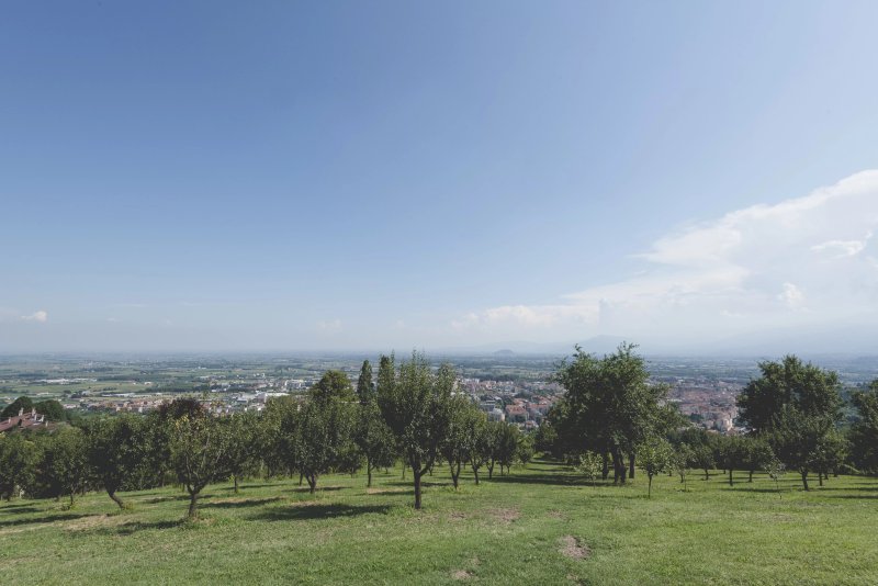 Agriturismo Altavista