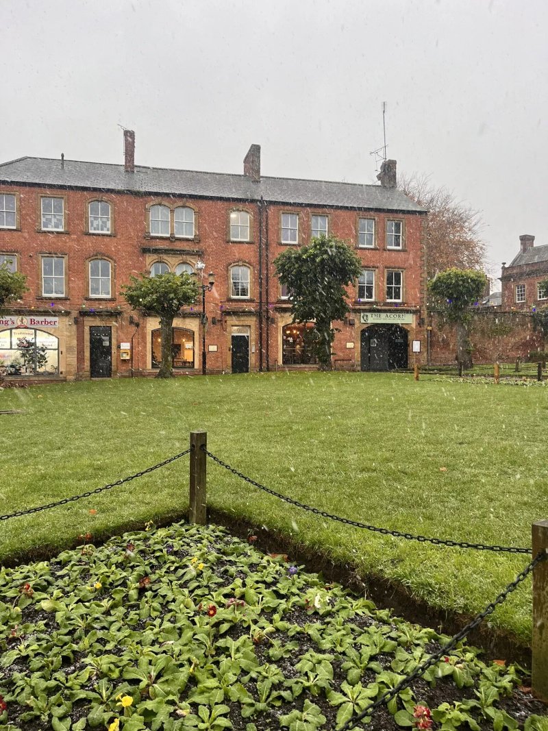 The Acorn Somerset