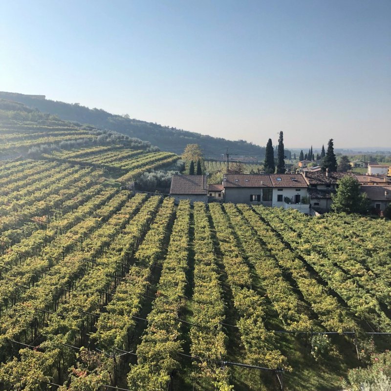 Azienda Agricola Corteforte