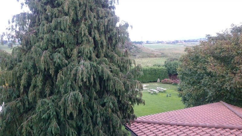 Posada Sotobosque
