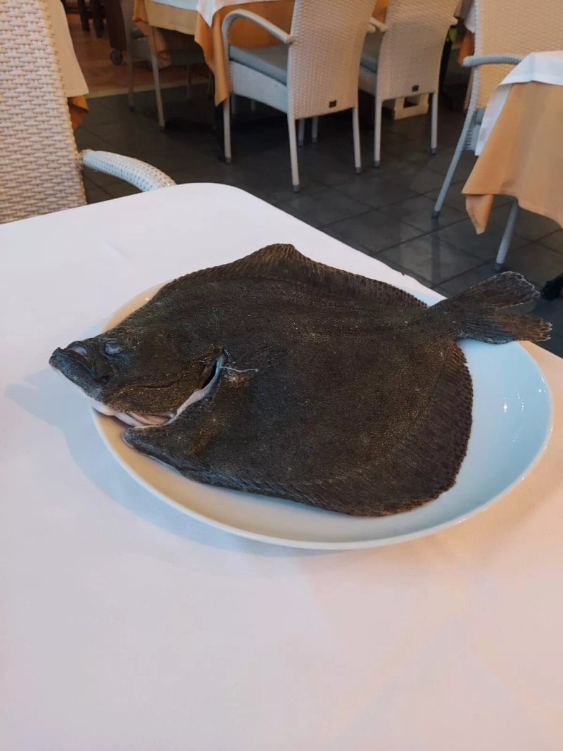 Manolo's Grill Restaurante