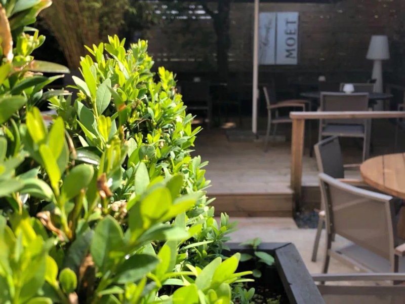 Brasserie-Restaurant Toussaints