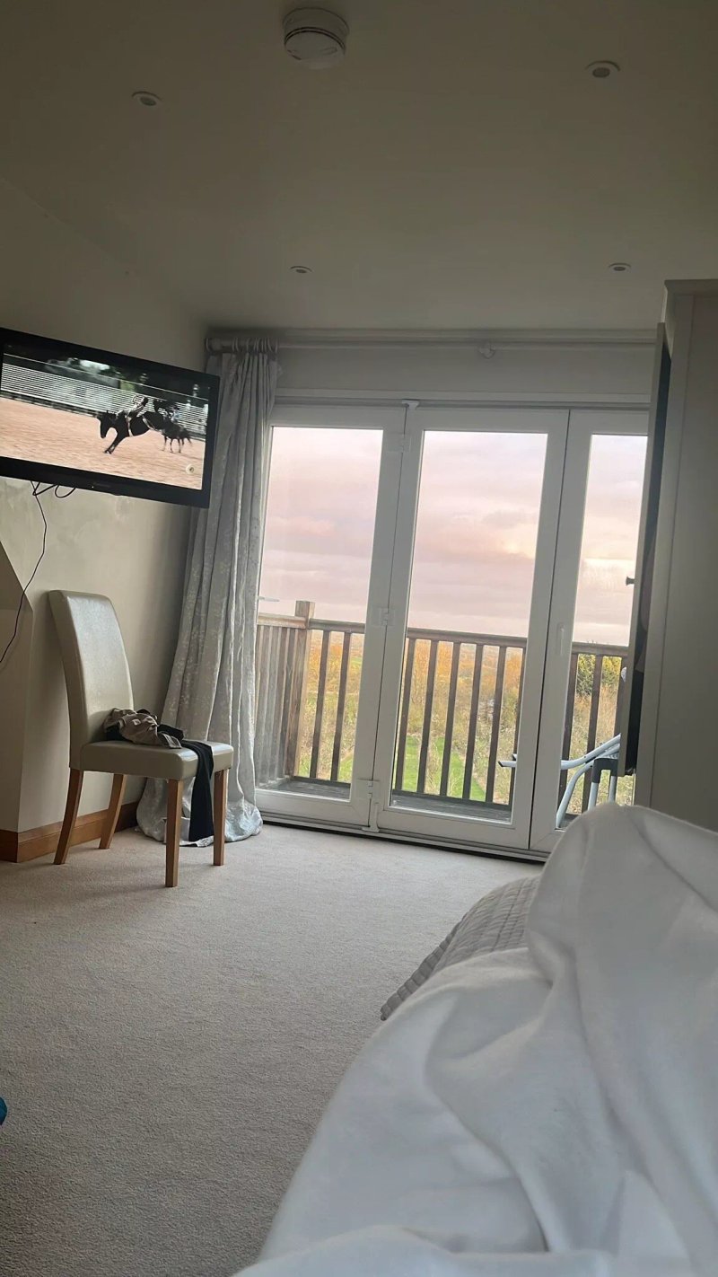 Shakespeare's View