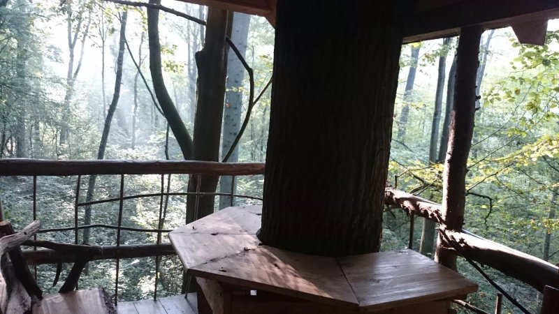 Cabane Nature